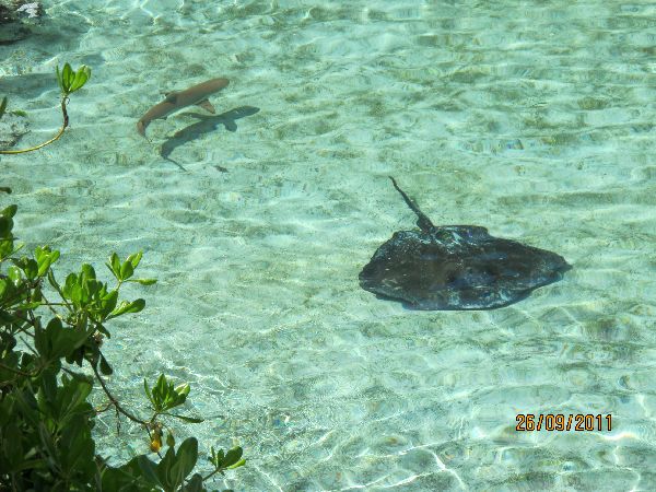 Hotel Atlantis Rochen