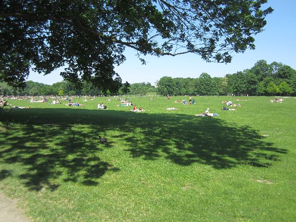 Englischer Garten Wiese